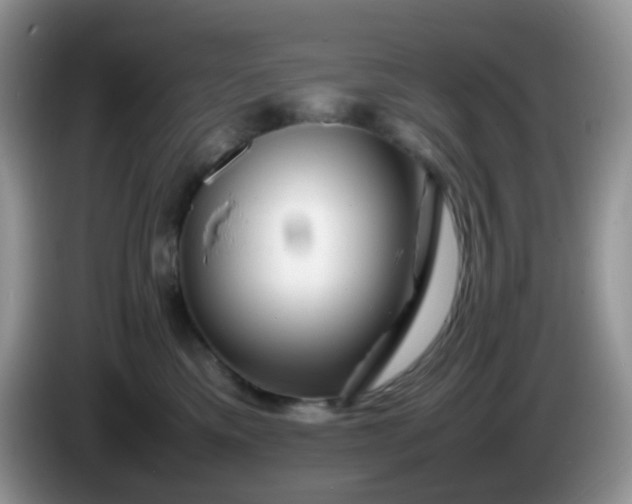 X0000086260425200704122013