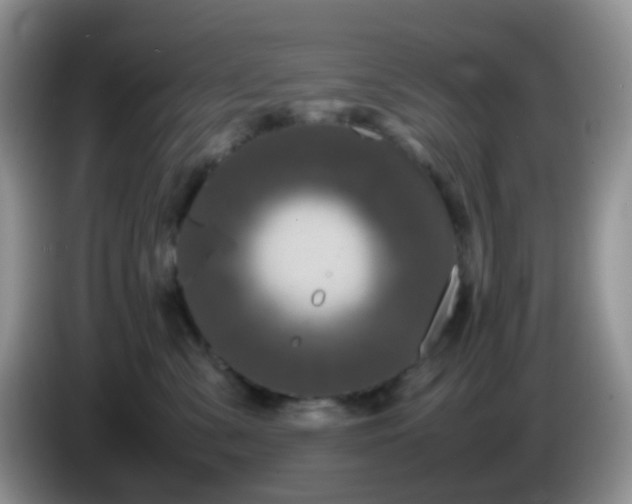 X0000086260427200704122013