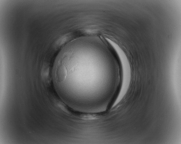 X0000086260428200704122013