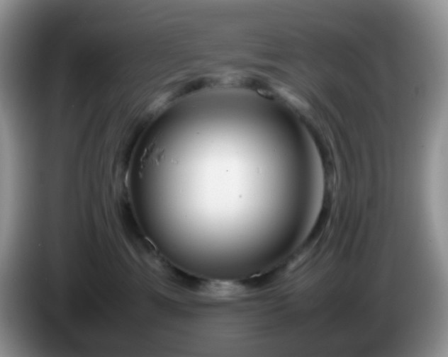 X0000086260429200704122013