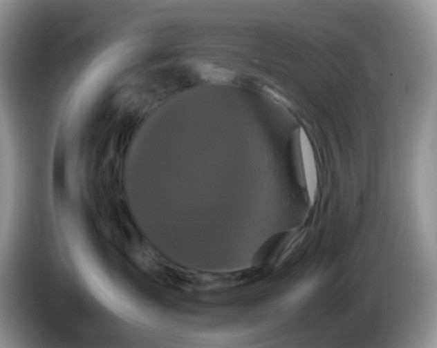 X0000086260431200704122013