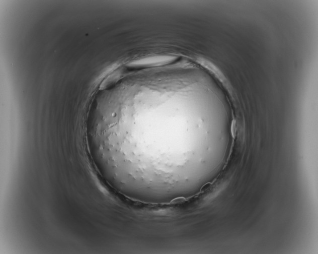 X0000086260433200704122013