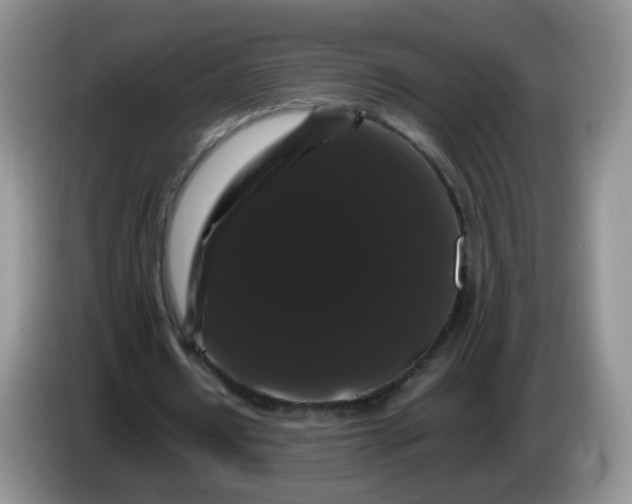 X0000086260434200704122013