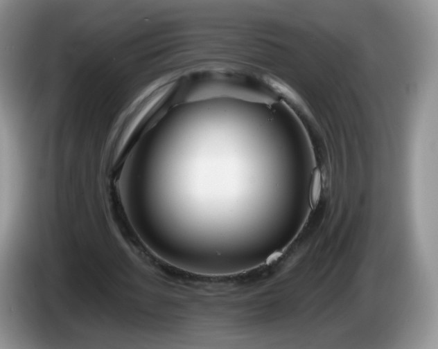 X0000086260436200704122013