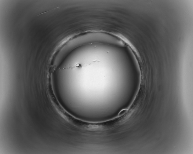 X0000086260437200704122013