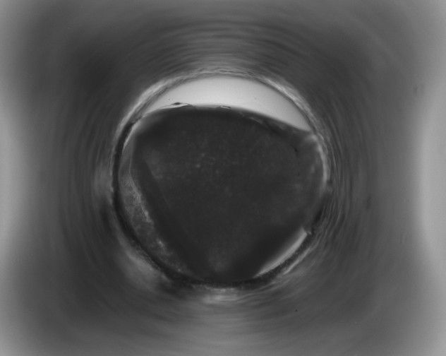 X0000086260438200704122013
