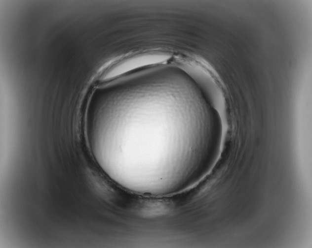 X0000086260439200704122013