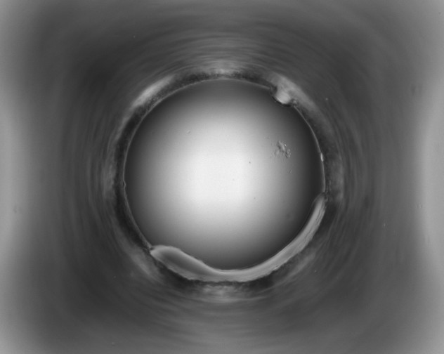 X0000086260440200704122013