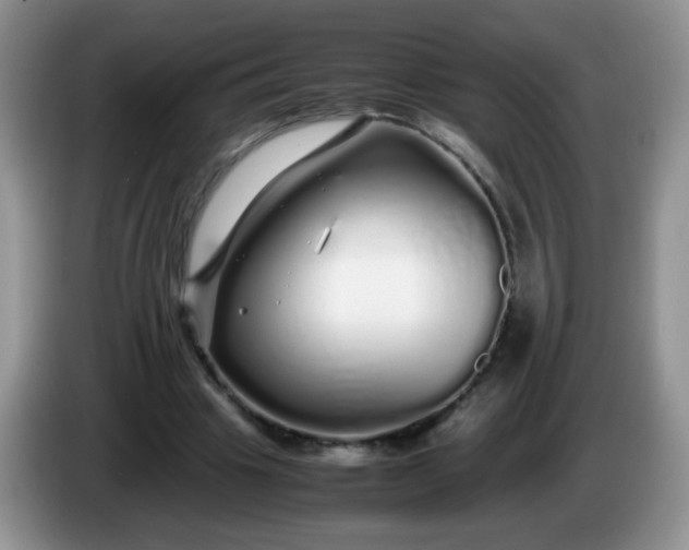 X0000086260441200704122013