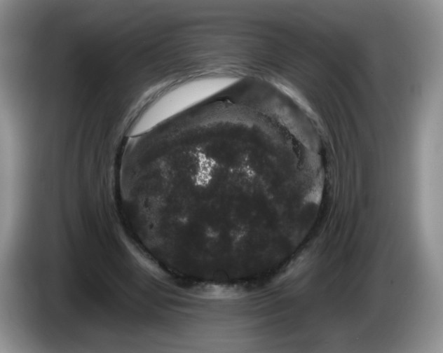 X0000086260442200704122013