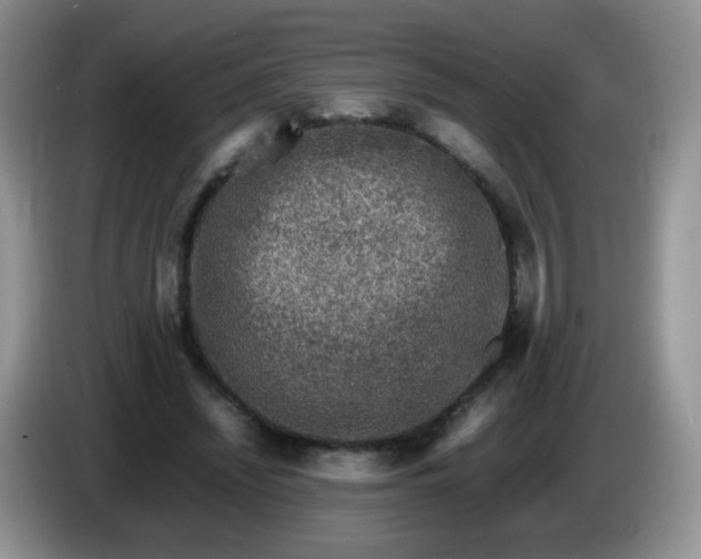 X0000086260444200704122013