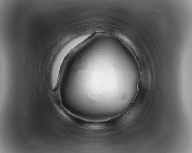 X0000086260445200704122013