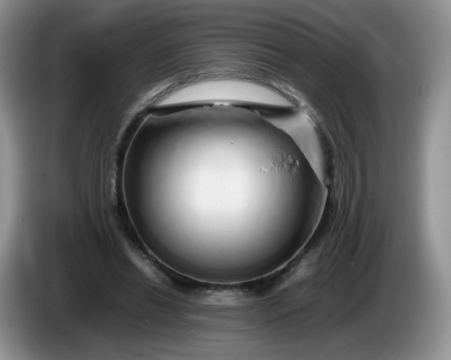 X0000086260446200704122013