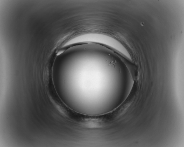 X0000086260448200704122013