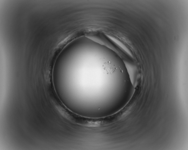 X0000086260450200704122013
