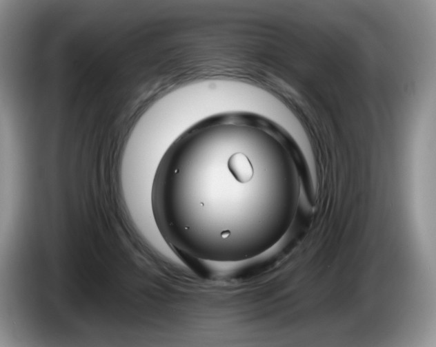X0000086260452200704122013