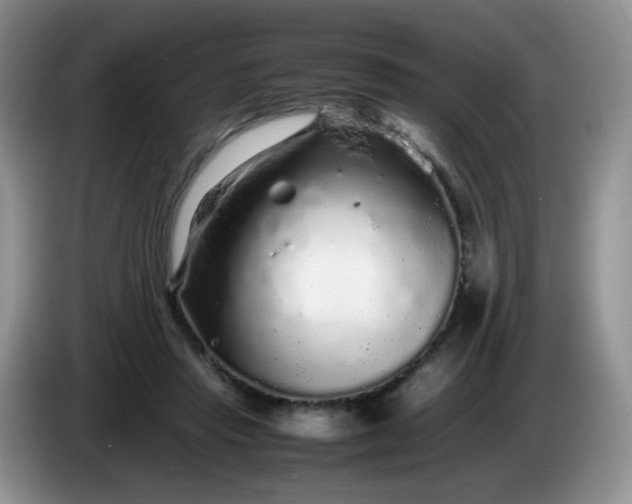 X0000086260453200704122013