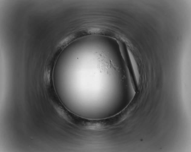 X0000086260454200704122013