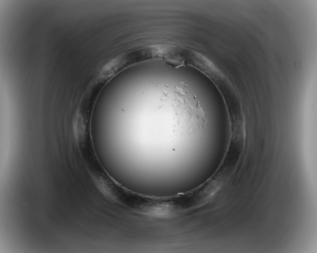 X0000086260456200704122013