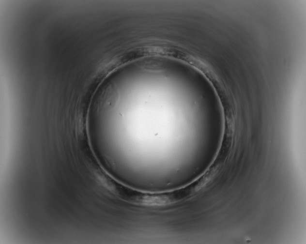 X0000086260457200704122013