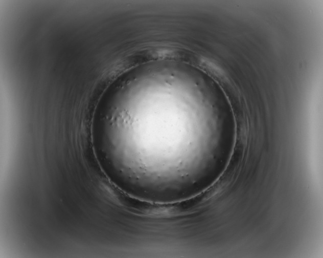 X0000086260461200704122013