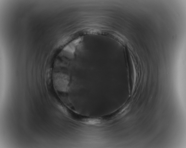 X0000086260462200704122013