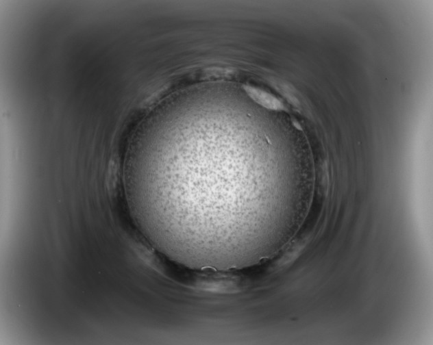 X0000086260463200704122013