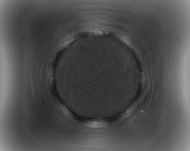 X0000086260466200704122013