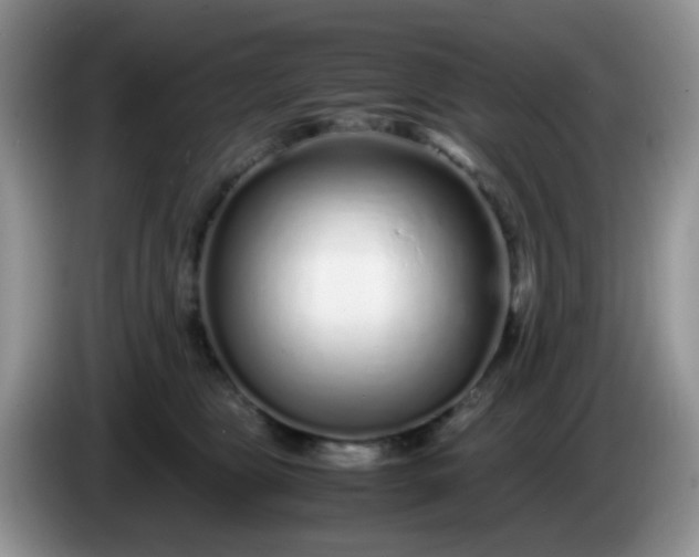 X0000086260469200704122013