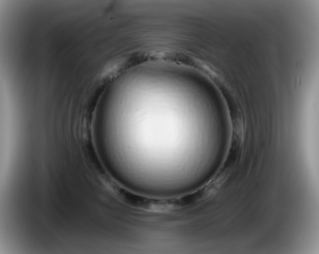 X0000086260470200704122013