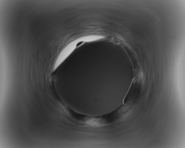 X0000086260471200704122013