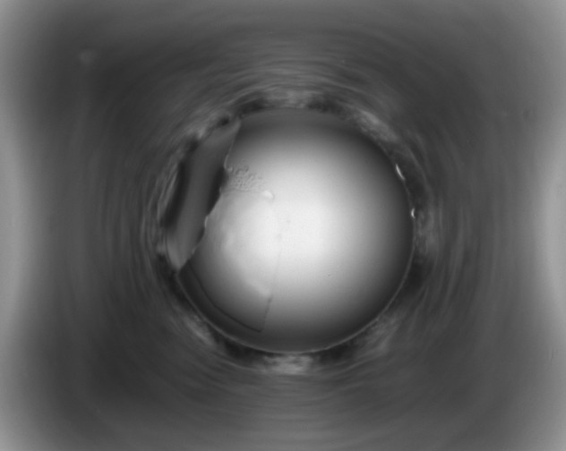 X0000086260474200704122013