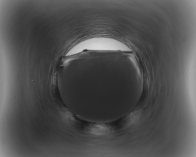 X0000086260475200704122013
