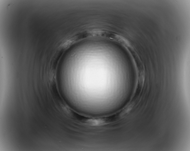 X0000086260477200704122013