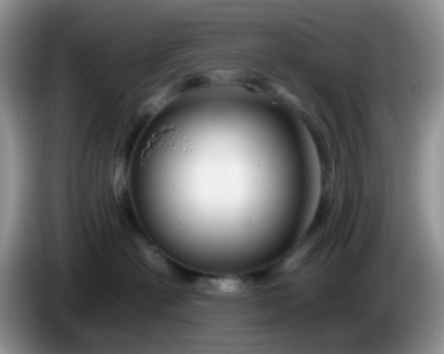X0000086260478200704122013
