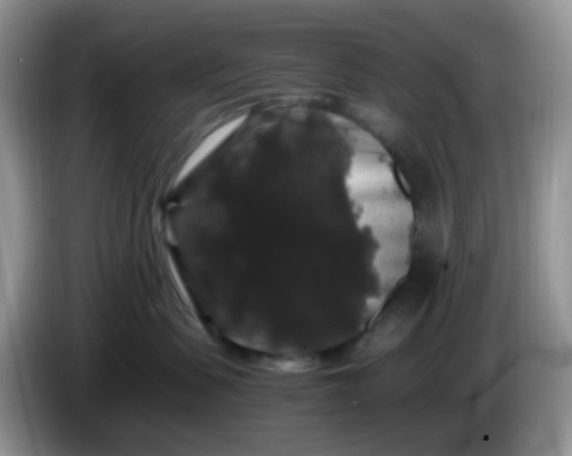 X0000086260479200704122013