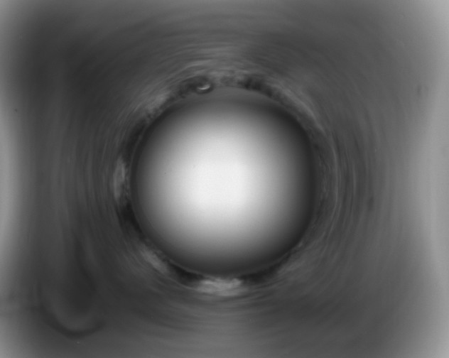 X0000086260480200704122013