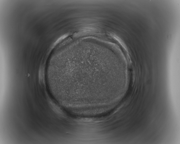 X0000086260482200704122013