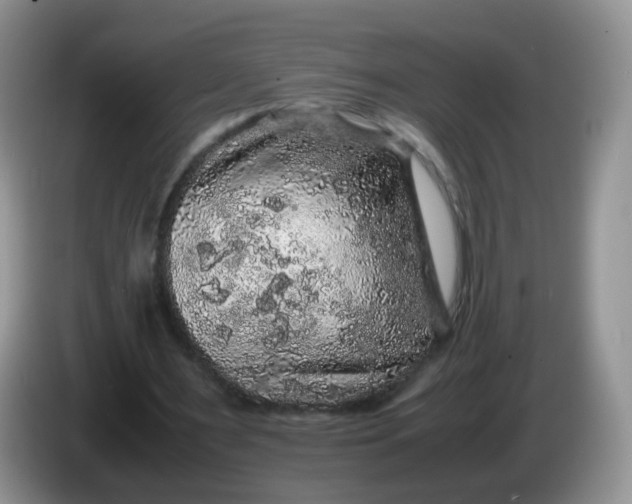 X0000086260483200704122013