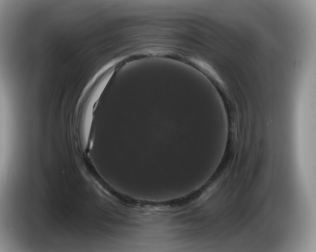 X0000086260484200704122013