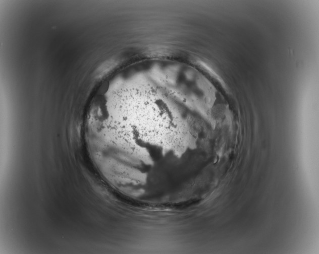 X0000086260491200704122013