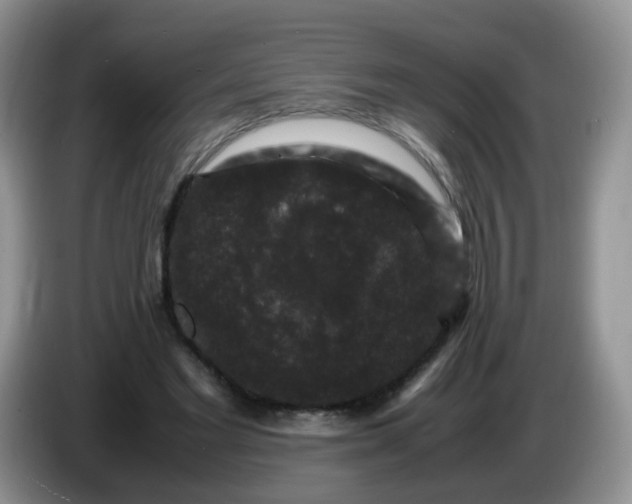 X0000086260493200704122013