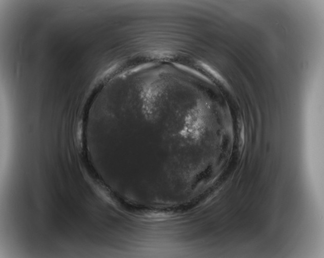 X0000086260494200704122013