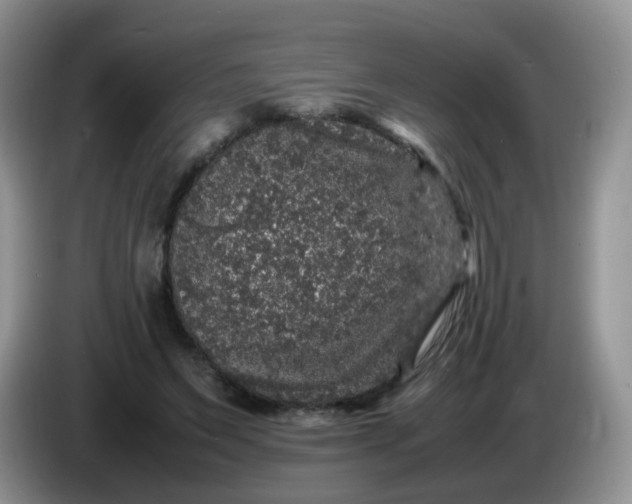 X0000086260495200704122013