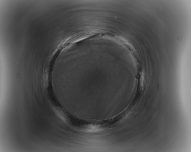 X0000086260496200704122013