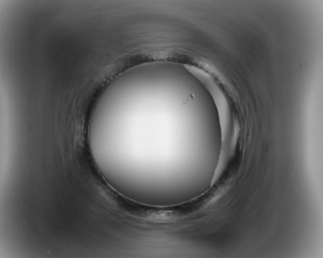 X0000086260497200704122013