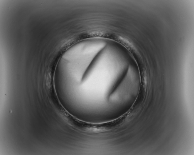 X0000086260498200704122013