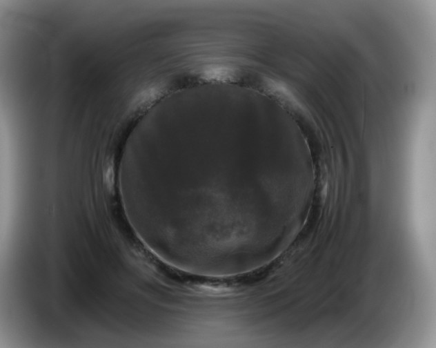 X0000086260502200704122013