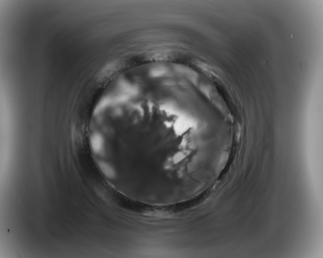 X0000086260503200704122013