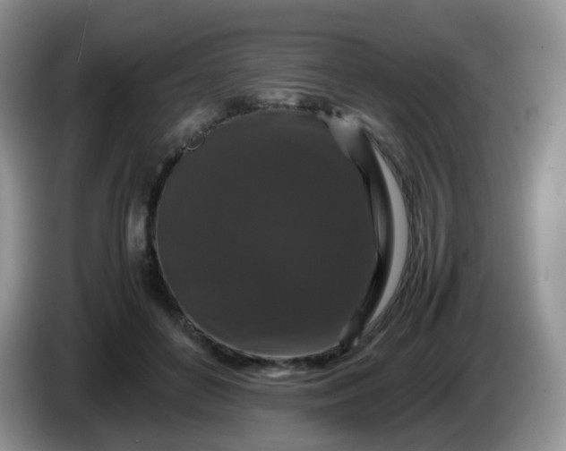 X0000086260504200704122013